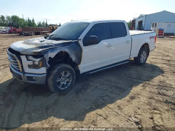 1FTFW1EF4GKD61273 2016 FORD F-150 - Image 2