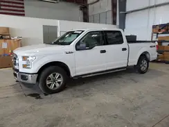 1FTFW1EF5GFA86229 2016 FORD F-150