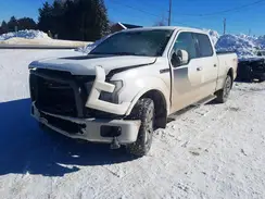 1FTFW1EF5GFD24726 2016 FORD F-150