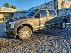 1FTFW1EF5HKC86651 2017 FORD F-150