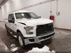 1FTFW1EF5HKE00227 2017 FORD F-150