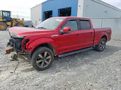 1FTFW1EF6HFA01576 2017 FORD F-150