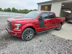 1FTFW1EF6HFA02419 2017 FORD F-150