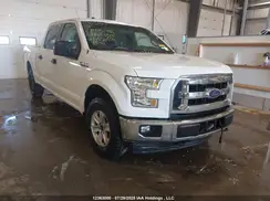 1FTFW1EF6HFB55172 2017 FORD F-150