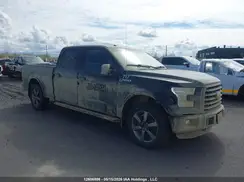 1FTFW1EF7GFC41380 2016 FORD F-150