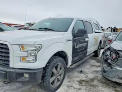 1FTFW1EF7GFC76081 2016 FORD F-150