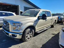 1FTFW1EF7HFB25310 2017 FORD F-150