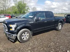 1FTFW1EF7HFC23575 2017 FORD F-150