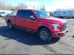 1FTFW1EF8GFA39437 2016 FORD F-150