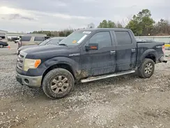 1FTFW1EF9DKD51477 2022 FORD F-150