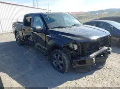 1FTFW1EFXGFD52697 2016 FORD F-150