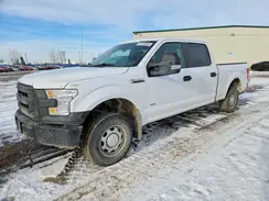 1FTFW1EG0HKD98816 2017 FORD F-150