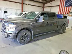 1FTFW1EG1GKE68290 2016 FORD F-150