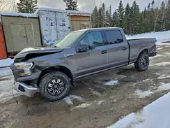 1FTFW1EG1HFB70042 2017 FORD F-150