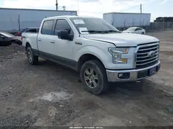 1FTFW1EG3GFA69485 2016 FORD F-150