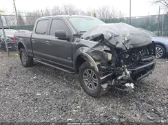 1FTFW1EG3GFB67609 2016 FORD F-150