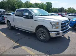 1FTFW1EG3GFD03897 2016 FORD F-150