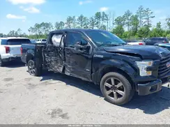 1FTFW1EG4GFA19534 2016 FORD F-150