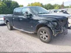1FTFW1EG4GFC67217 2016 FORD F-150