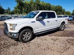 1FTFW1EG5GFA66474 2016 FORD F-150