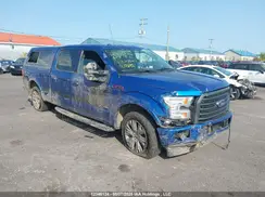 1FTFW1EG5HFB70044 2017 FORD F-150