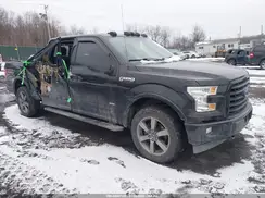 1FTFW1EG5HKE43619 2017 FORD F-150