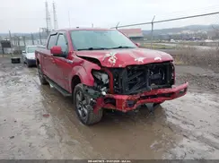 1FTFW1EG6GFB49427 2016 FORD F-150