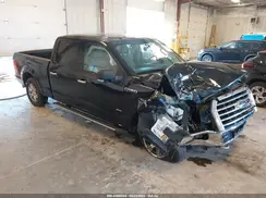 1FTFW1EG7GFB10393 2016 FORD F-150