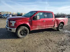 1FTFW1EG8GFD24616 2016 FORD F-150