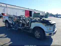 1FTFW1EG8GKE96734 2016 FORD F-150