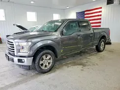 1FTFW1EG8HFA43675 2017 FORD F-150