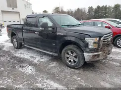 1FTFW1EG9GFB17474 2016 FORD F-150