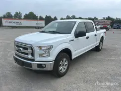 1FTFW1EG9GFC19244 2016 FORD F-150