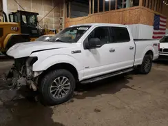 1FTFW1EGXHFA66567 2017 FORD F-150