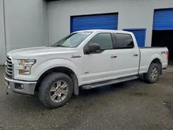 1FTFW1EGXHKC77596 2017 FORD F-150