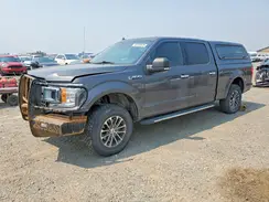 1FTFW1EGXJKF73384 2018 FORD F-150