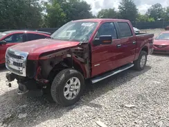 1FTFW1ET7EFC41513 2017 FORD F-150