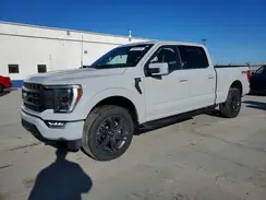 1FTFW1F85PKD66659 2023 FORD F-150