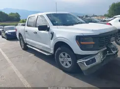 1FTFW1FD6RFB59656 2024 FORD F-150