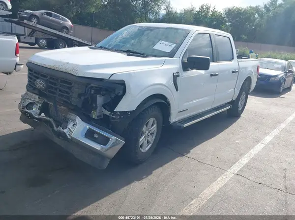 1FTFW1FD6RFB59656 2024 FORD F-150 - Image 2