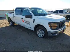 1FTFW1FD6SFB49876 2025 FORD F-150