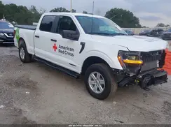 1FTFW1FD9RFB98788 2024 FORD F-150