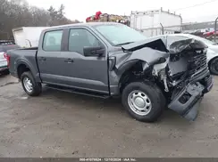 1FTFW1L53RKD82824 2024 FORD F-150