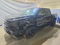 1FTFW1L56SKE04675 2025 FORD F-150