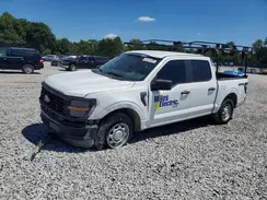 1FTFW1L58RKD36244 2024 FORD F-150