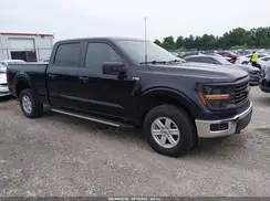 1FTFW1L58RKE34853 2024 FORD F-150