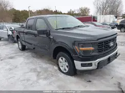 1FTFW1L59RKD40786 2024 FORD F-150