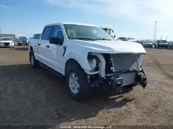 1FTFW1L80RKD09744 2024 FORD F-150