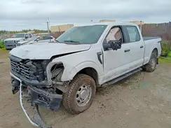 1FTFW1L82RKE49018 2024 FORD F-150