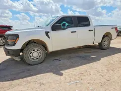 1FTFW1L86RKD04435 2024 FORD F-150